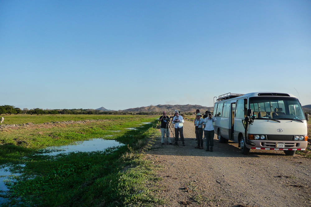 Days 8 to 9: Northern Pacific region - Gulf of Nicoya